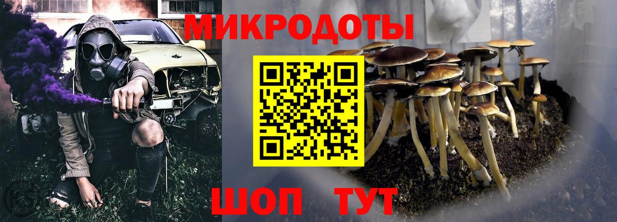 дарнет шоп  Вход с VPN  Тосно  Псилоцибиновые грибы GOLDEN TEACHER 